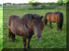 2005006-07 045.jpg (669787 byte)