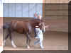 20060909 Hanaskede 002.jpg (581236 byte)