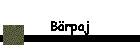 Brpaj