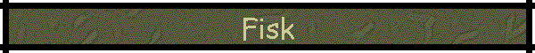 Fisk