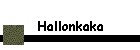 Hallonkaka