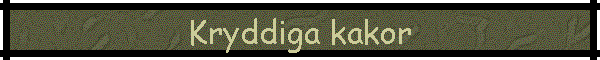 Kryddiga kakor