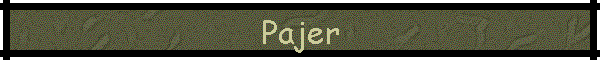 Pajer